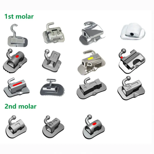 1st 2nd Molar Bondable Sgl Tube Bracket